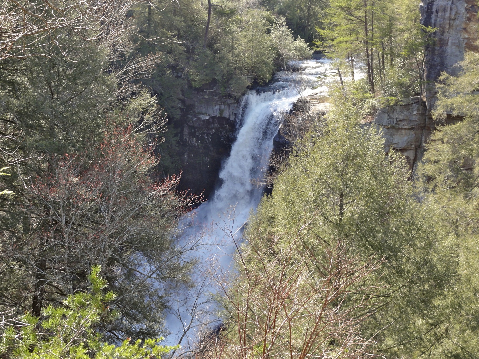 Piney Falls- By Jsfouche
